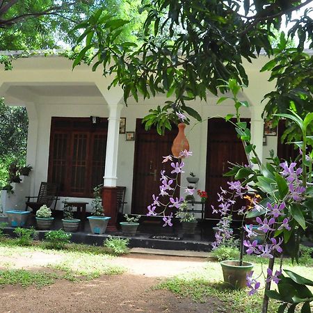 Sigiriya Flower Guest Bagian luar foto