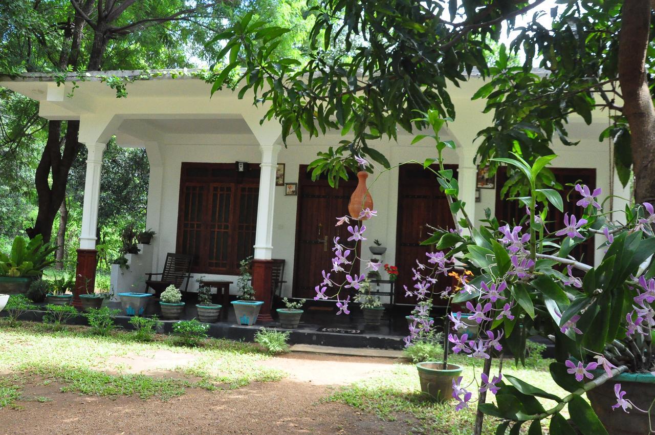 Sigiriya Flower Guest Bagian luar foto